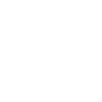 Premium Shingle Installation