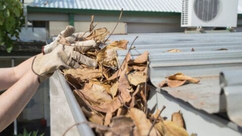 Florida gutter problems