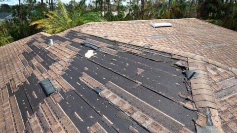 Roof Replacement Costs
