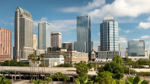 Best Roofing Material For Tampa