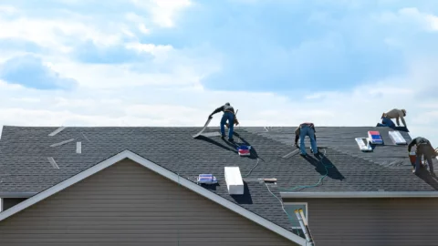 Shingle Roof St Petersburg Florida
