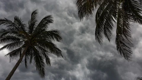 Florida Storm Chasing