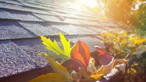Roof Maintenance Tips For Fall - Gutters