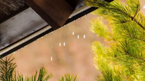 A closeup shot of the underside of a roof shows water running off the roof thanks to its healthy drip edge.