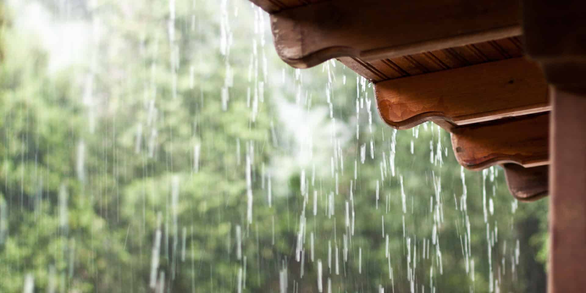 Resistance to Florida Weather