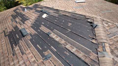 Roof Repair Professionals in Tampa